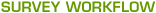 SURVEY WORKFLOW